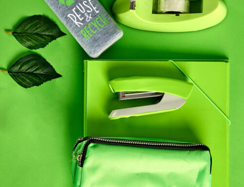 Material escolar al por mayor