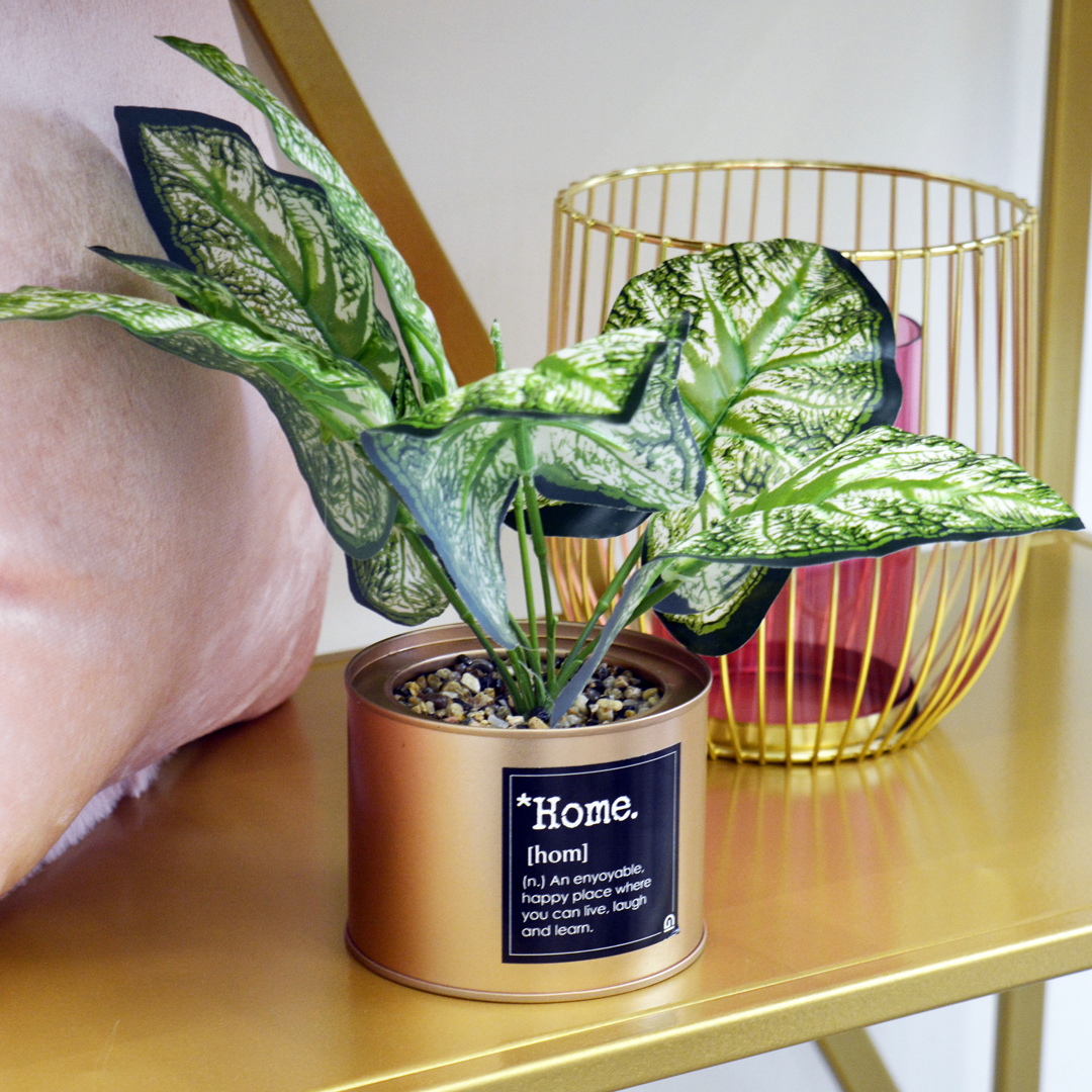 Planta con maceta de lata