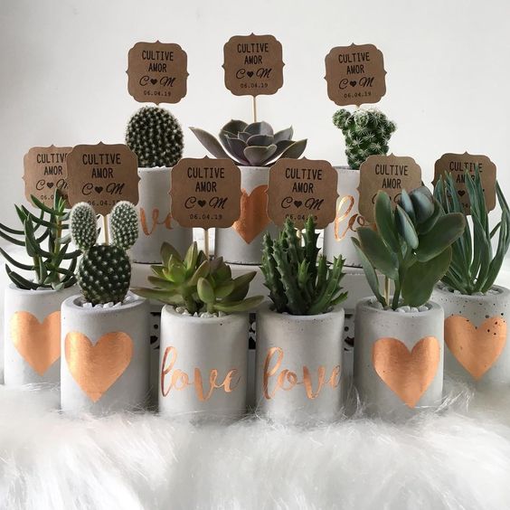 Plantas artificiales regalos para invitados