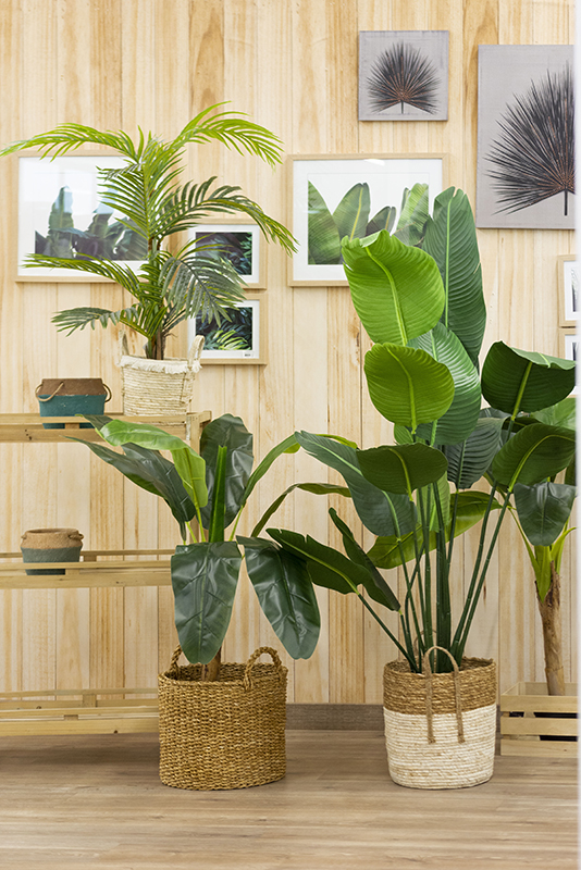 IMA_3_CESTOS MIMBRE Y PLANTAS TROPICALES_1 Tendencias decoración exterior cesto esparto