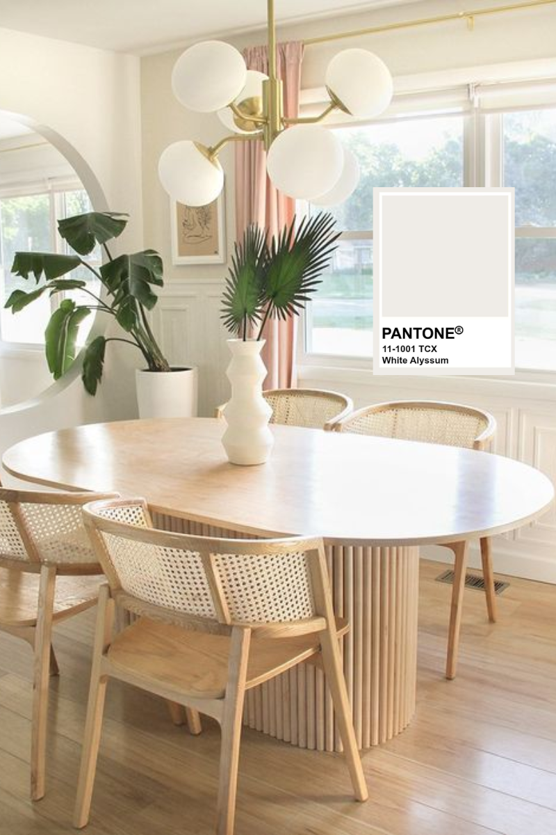 1 Decoración White Alyssum