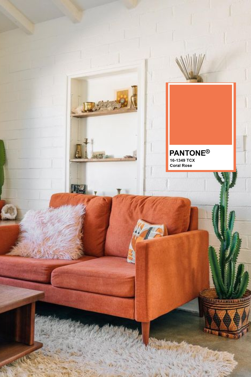 8 Decoración color coral rose