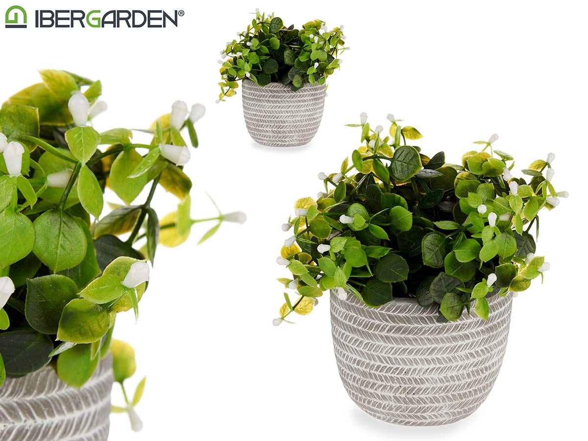 Planta verde flor blanca con maceta gris