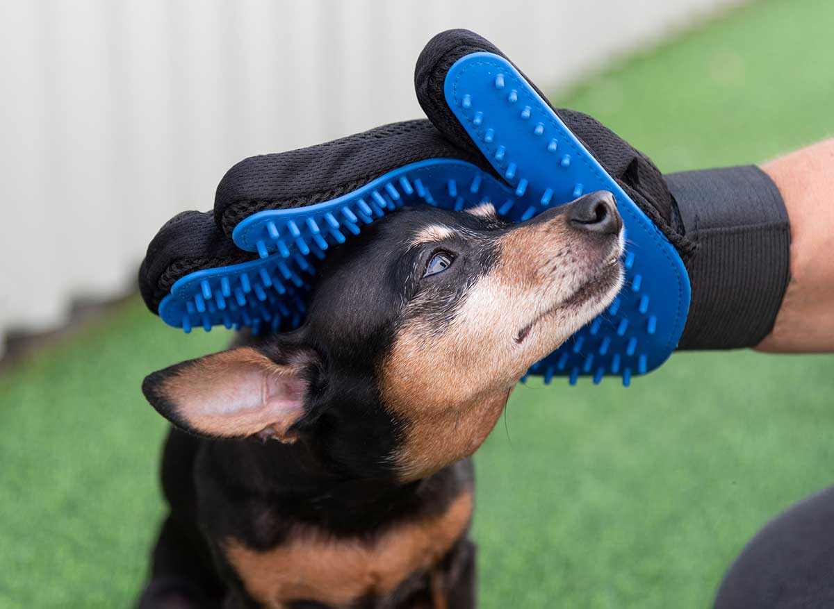 Set cuidado para mascotas 6pcs - Imagen 5