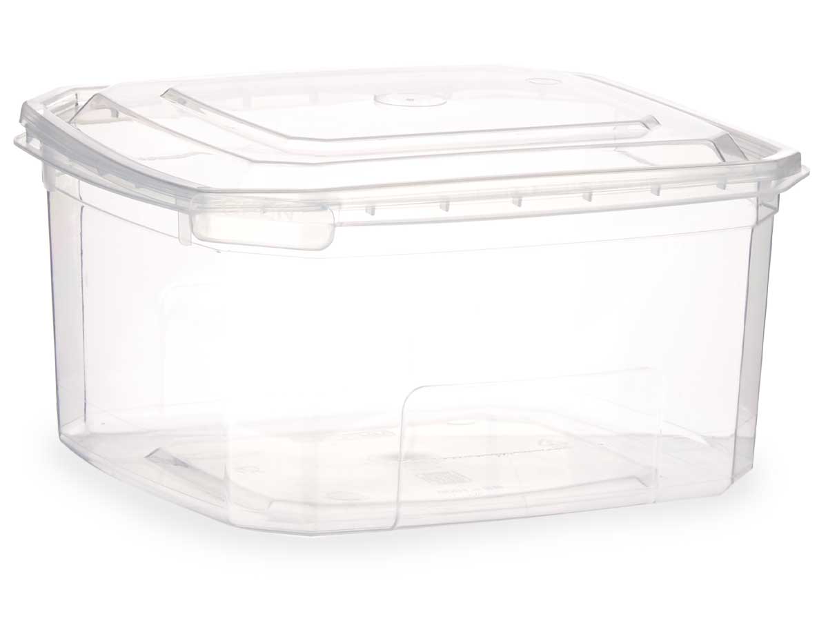 Fiambrera plastico rectangular 1000ml - Imagen 2