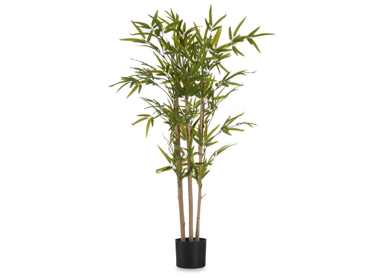 Planta con maceta bambu pequeño 120cm - Imagen 2