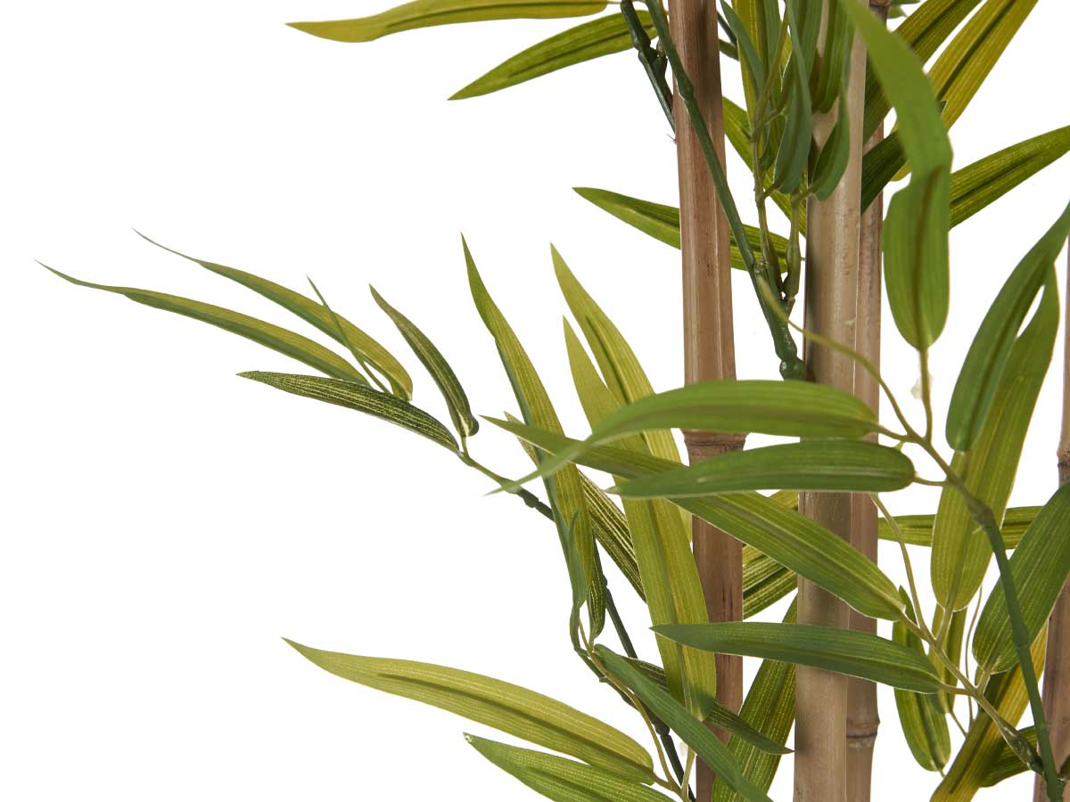 Planta con maceta bambu pequeño 120cm - Imagen 3