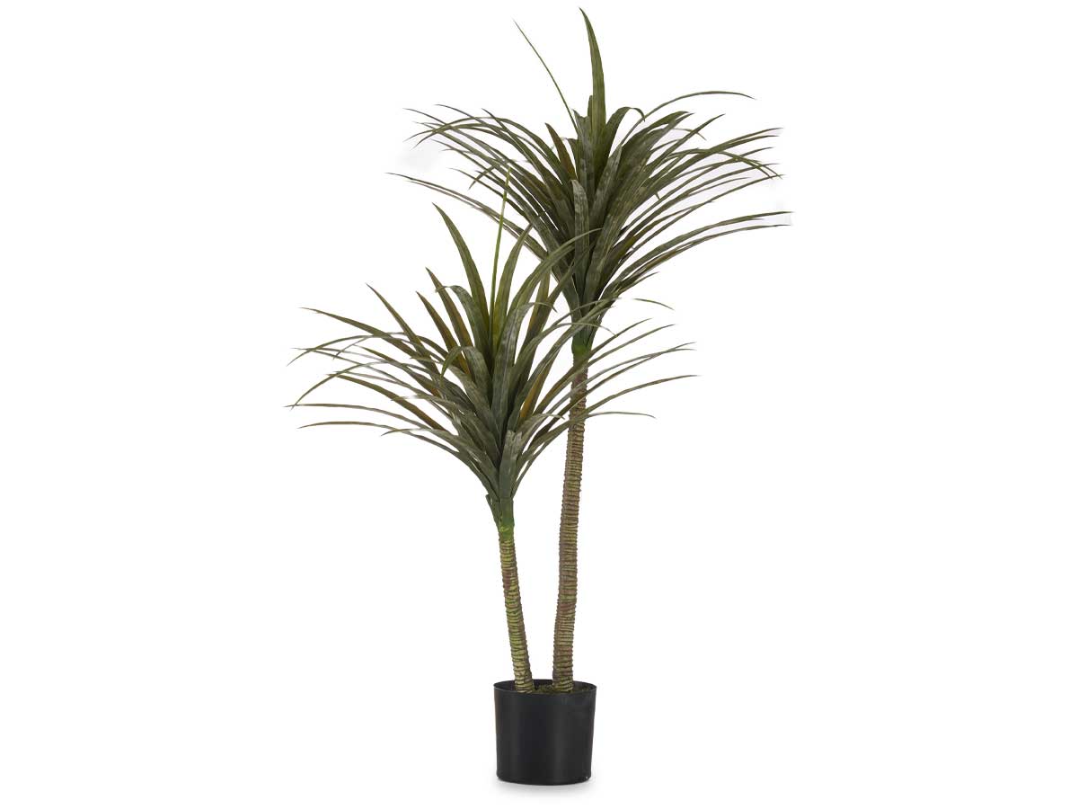 Planta con maceta hoja estrecha mediana 150cm - Imagen 2