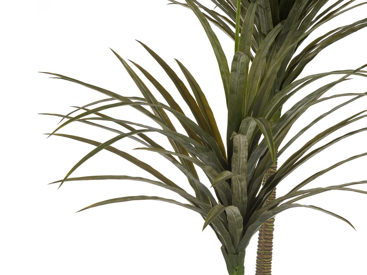 Planta con maceta hoja estrecha mediana 150cm - Imagen 3