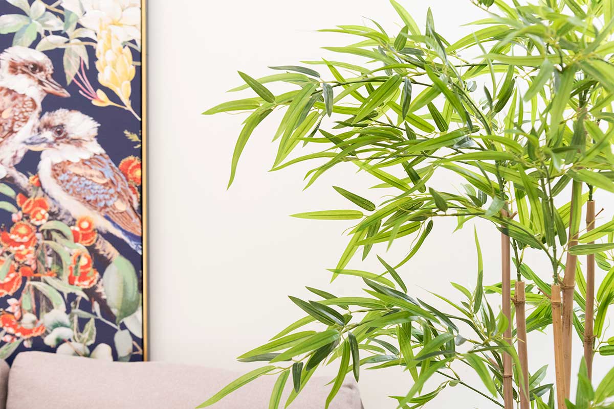 Planta con maceta bambu pequeño 120cm - Imagen 4