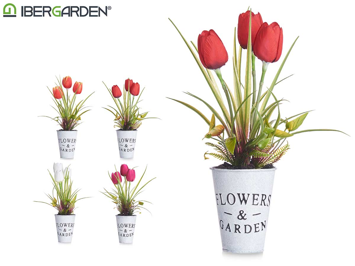 Planta tulipan bote metal surt 4
