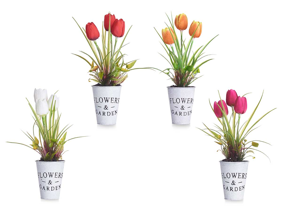 Planta tulipan bote metal surt 4 - Imagen 2