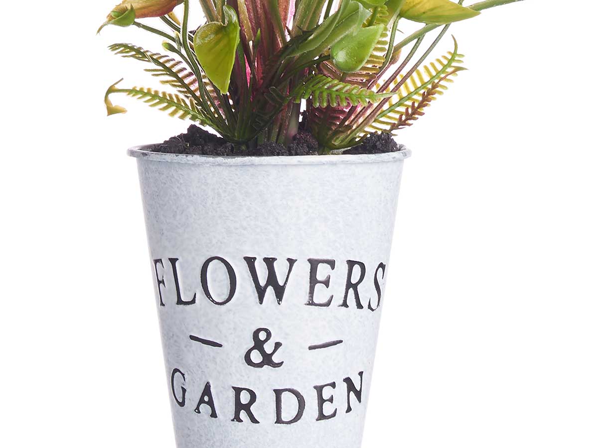 Planta tulipan bote metal surt 4 - Imagen 4