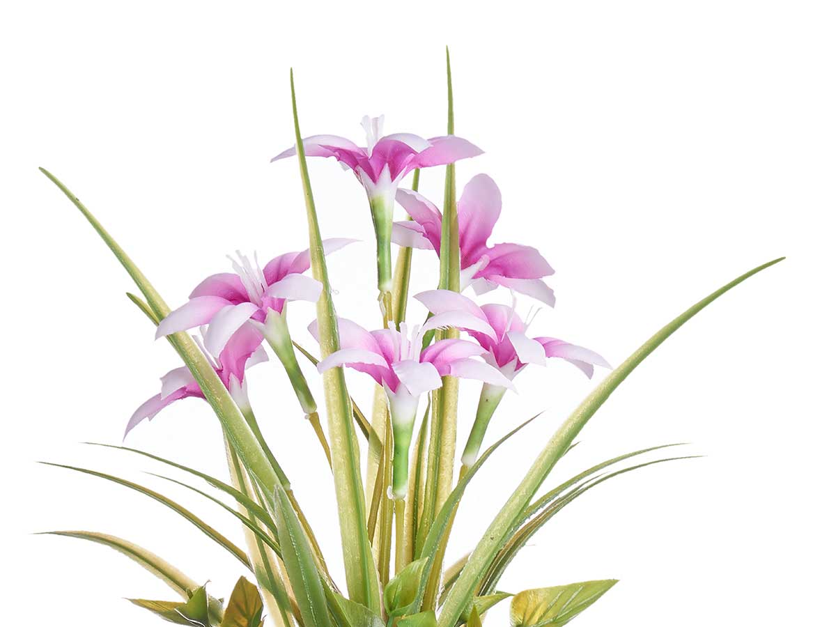Planta flor abierta peq bote metal surt 4 - Imagen 3