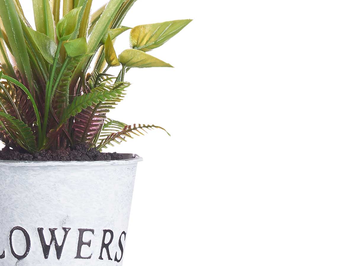 Planta flor abierta peq bote metal surt 4 - Imagen 4