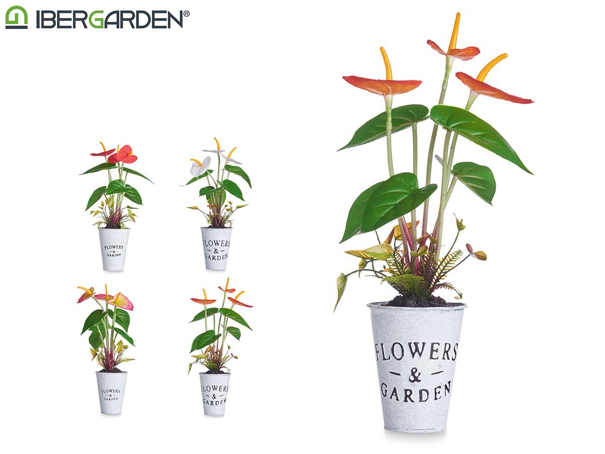 Planta lirio bote metal surt 4