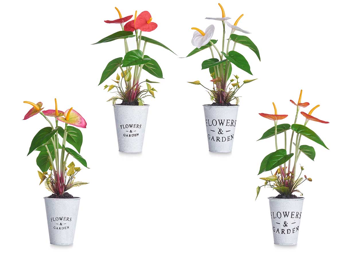 Planta lirio bote metal surt 4 - Imagen 2