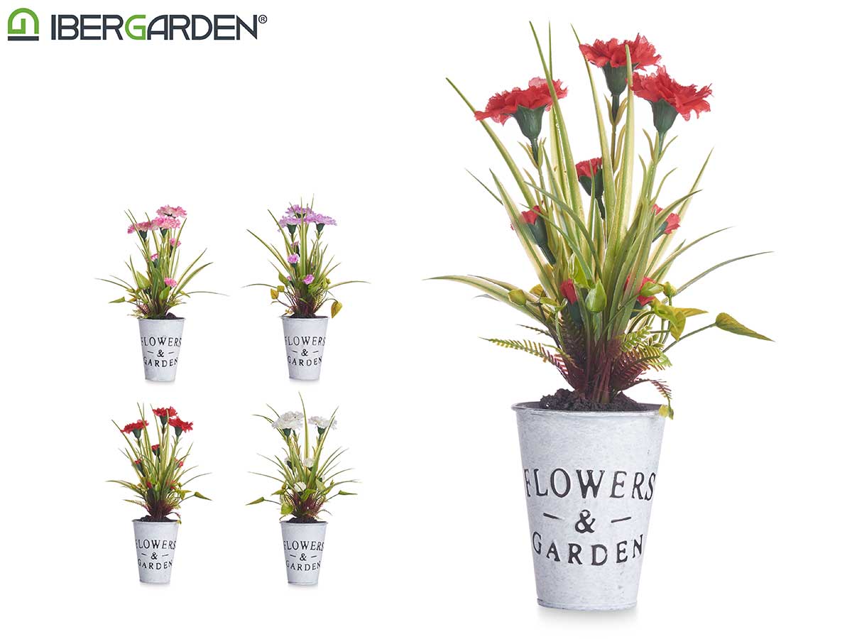 Planta clavel bote metal surt 4