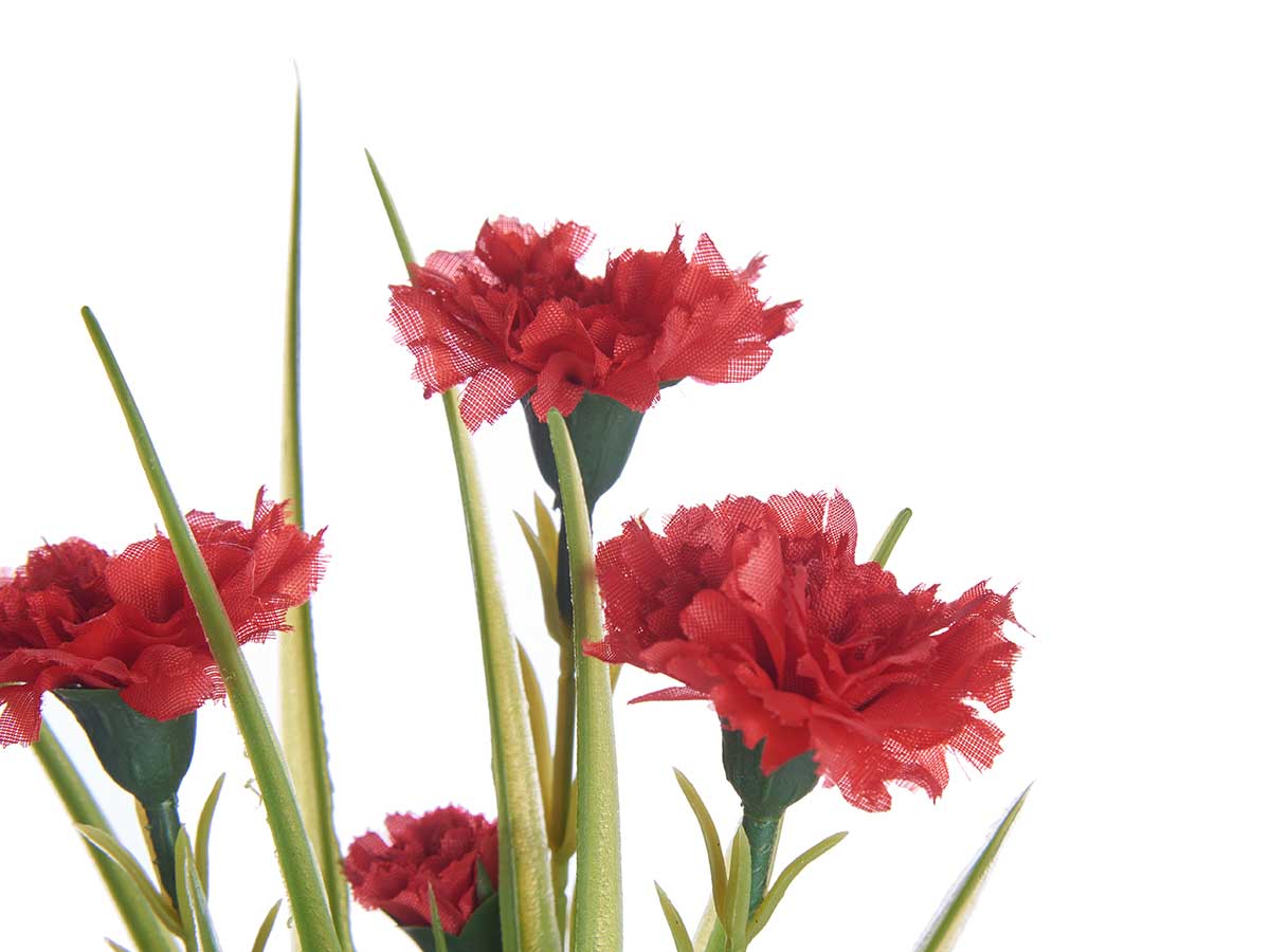 Planta clavel bote metal surt 4 - Imagen 3