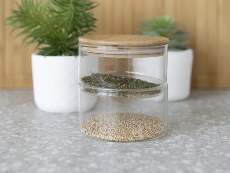 Golpe de calor en mascotas: piscina para perros