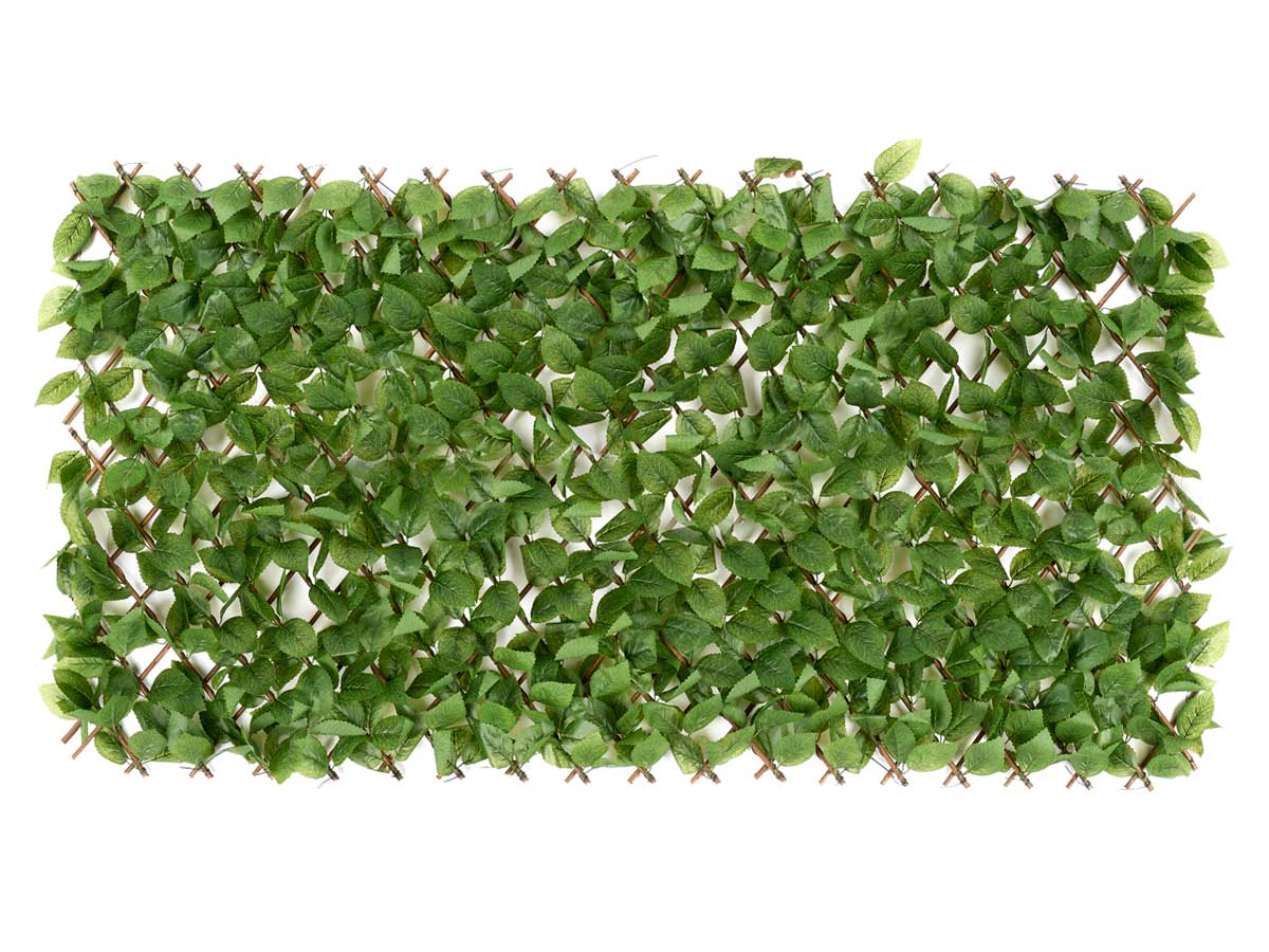 Panel extensible 90x180cm hoja verde - Imagen 2