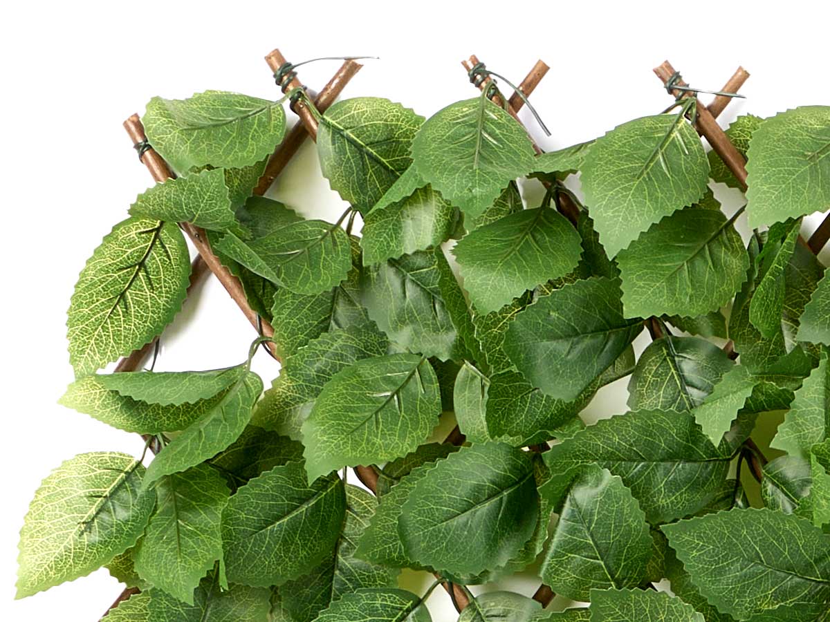 Panel extensible 90x180cm hoja verde - Imagen 4