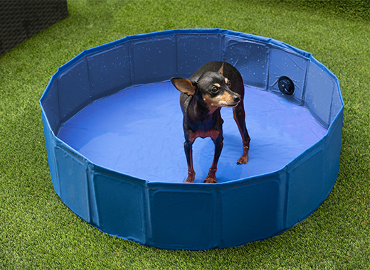 Piscina perro poliester 120x30cm - Imagen 5