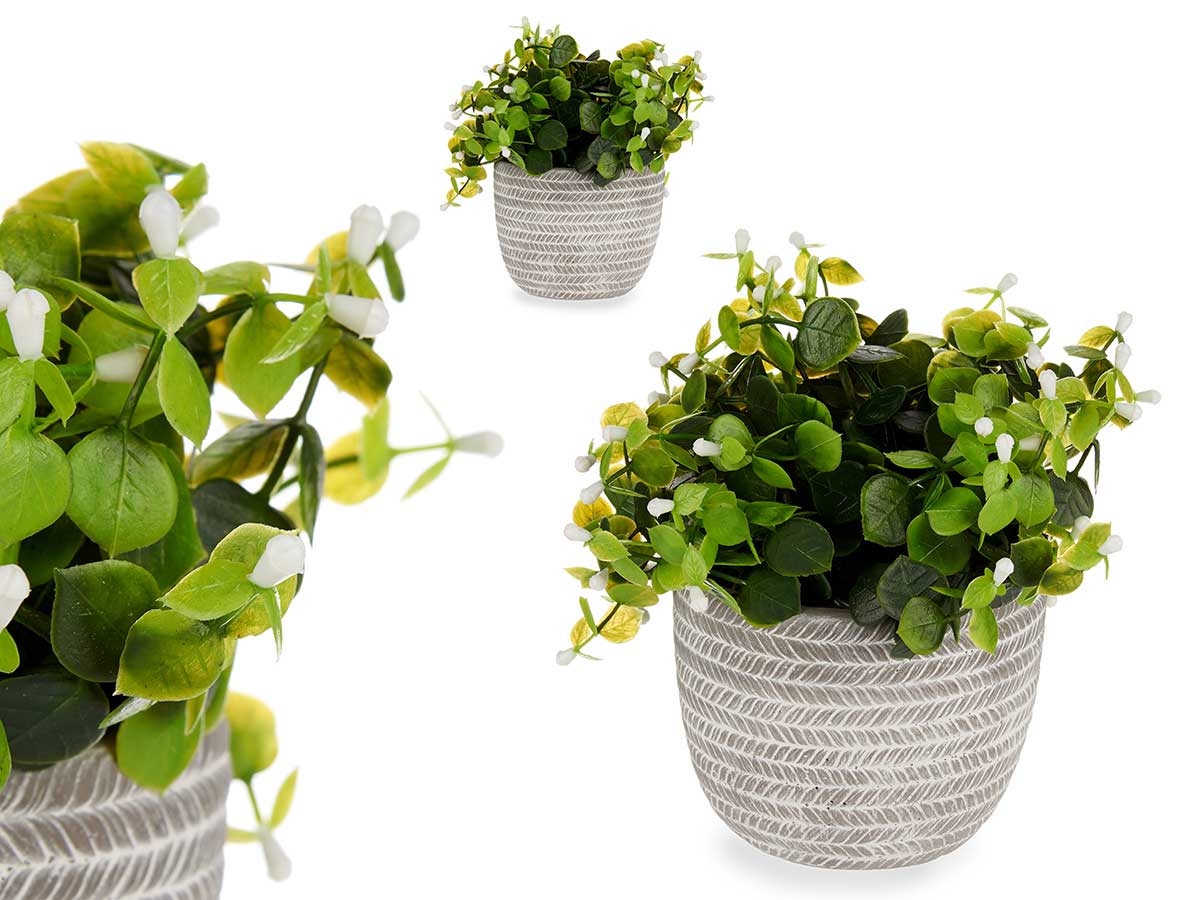 Planta verde flor blanca con maceta gris