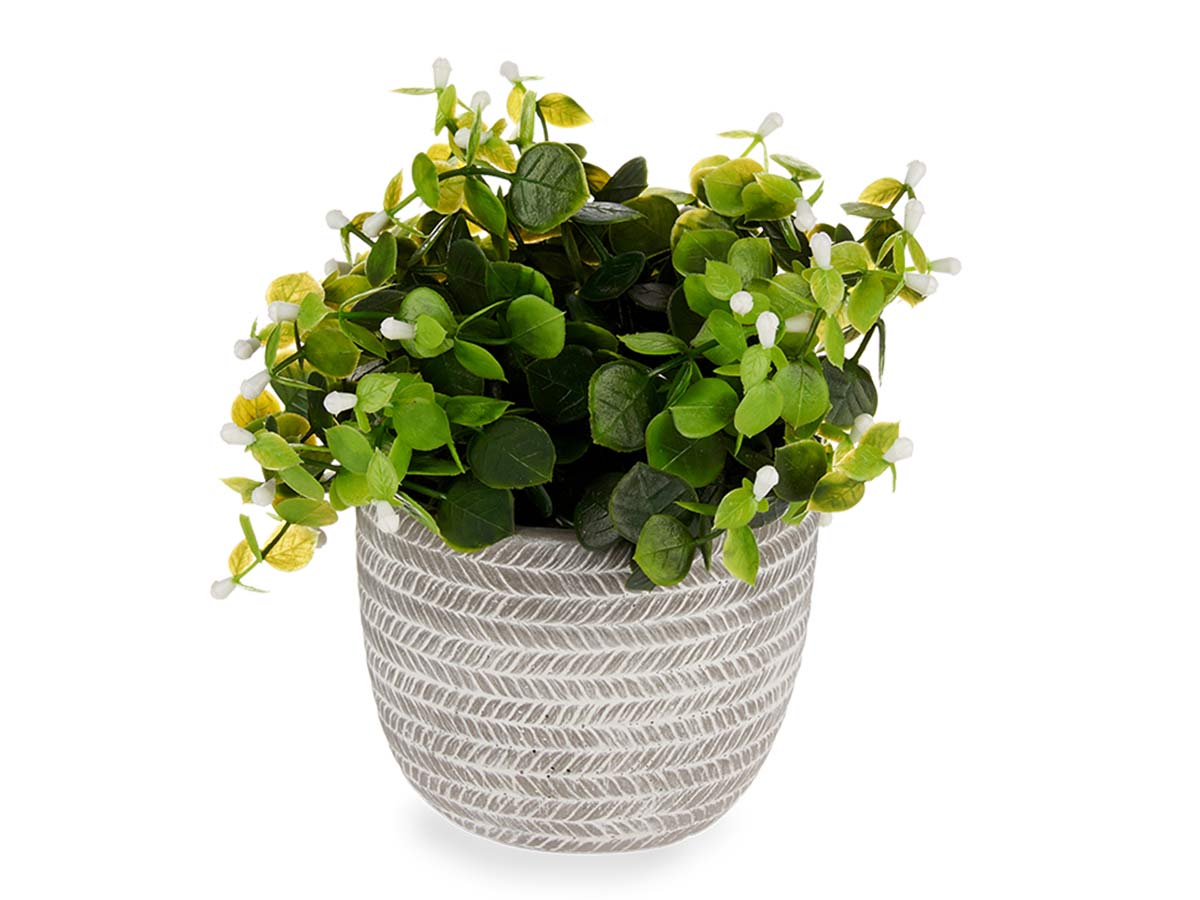 Planta verde flor blanca con maceta gris - Imagen 2