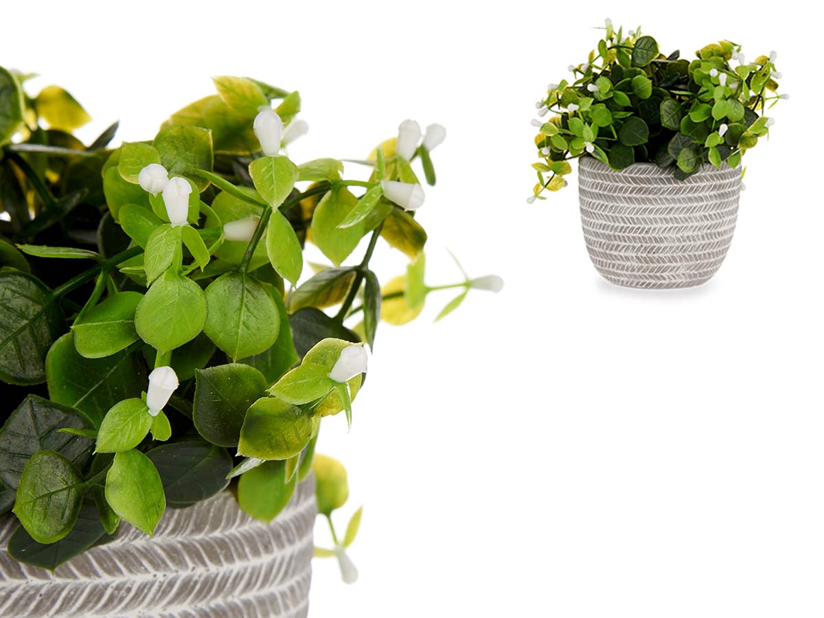 Planta verde flor blanca con maceta gris - Imagen 3