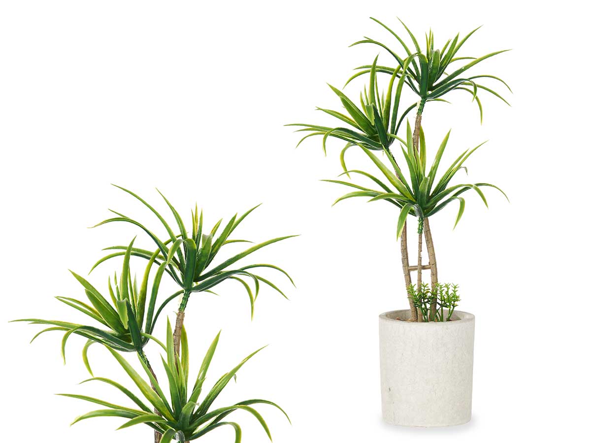 Maceta cemento mediana palmera verde
