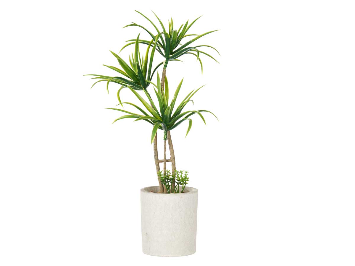 Maceta cemento mediana palmera verde - Imagen 2