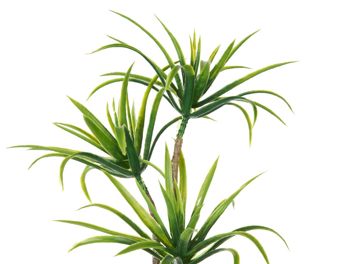 Maceta cemento mediana palmera verde - Imagen 3