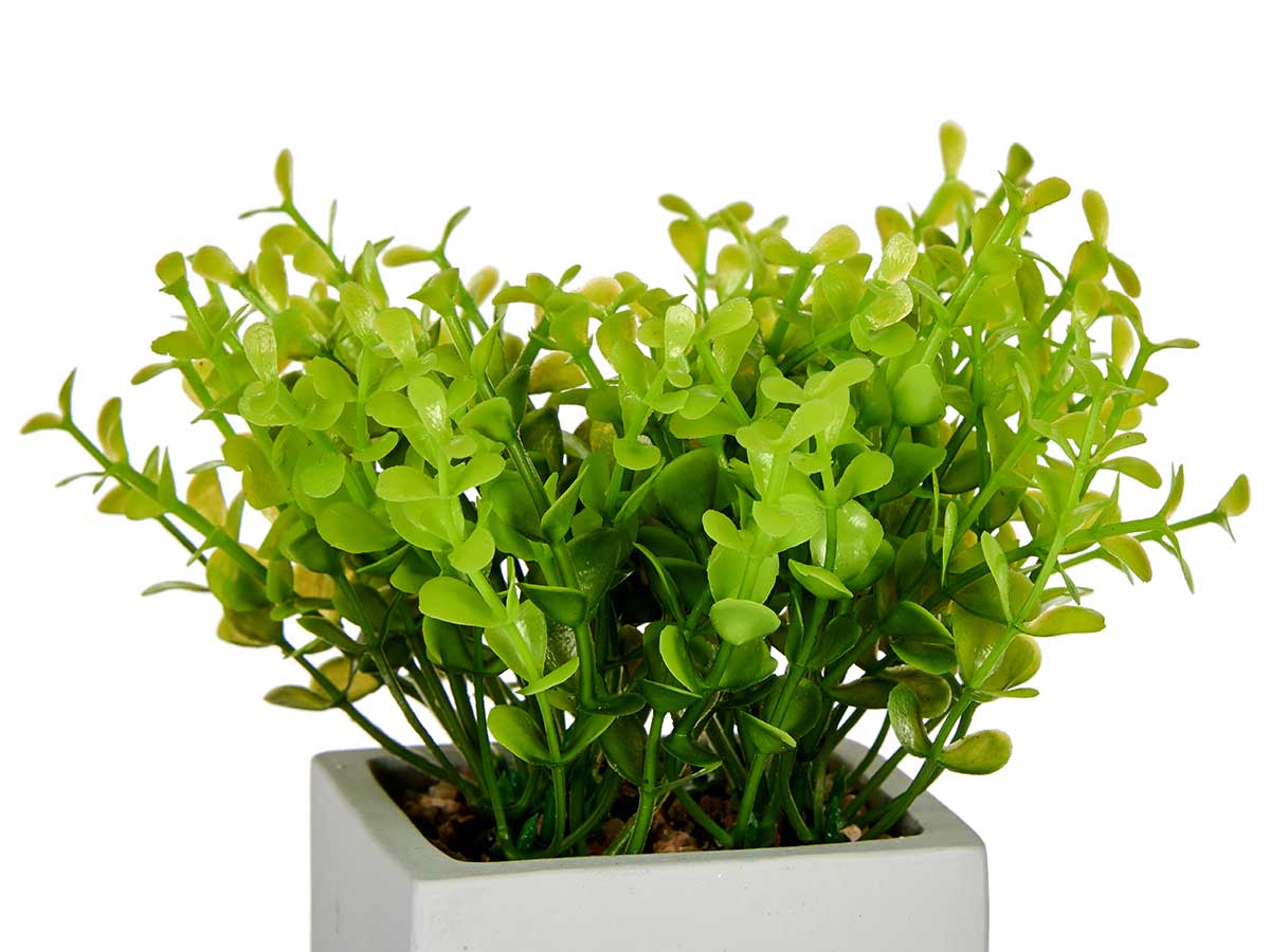 Planta artificial cemento blanca - Imagen 4