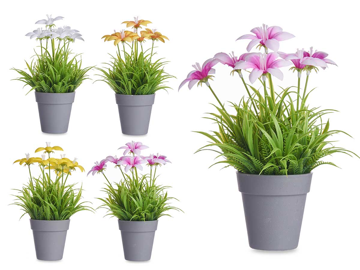 Maceta flor abierta surt 4