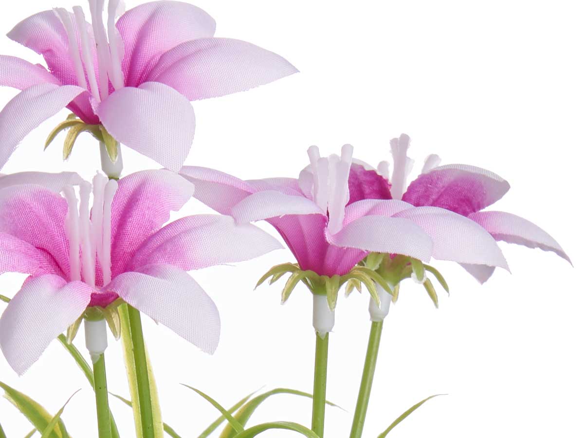 Maceta flor abierta surt 4 - Imagen 3