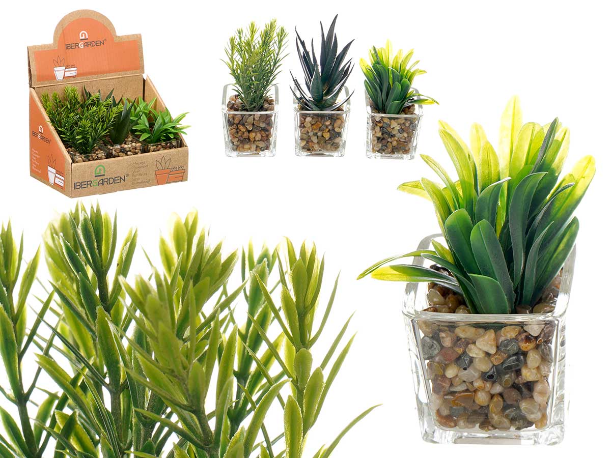 Maceta vidrio planta surt 3