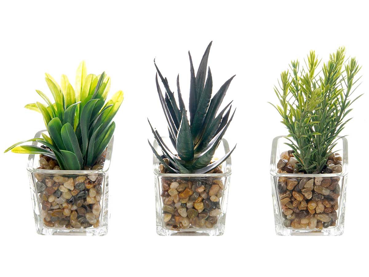 Maceta vidrio planta surt 3 - Imagen 2