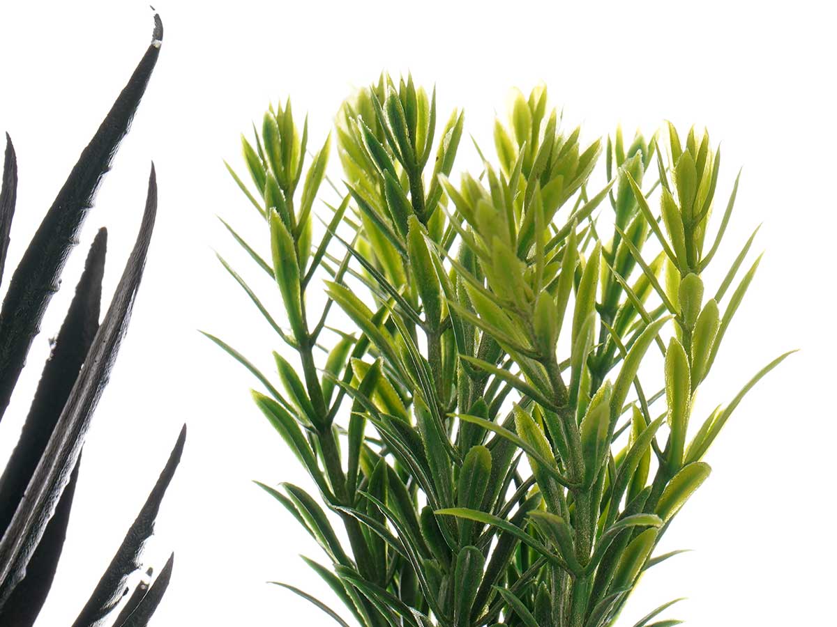 Maceta vidrio planta surt 3 - Imagen 4