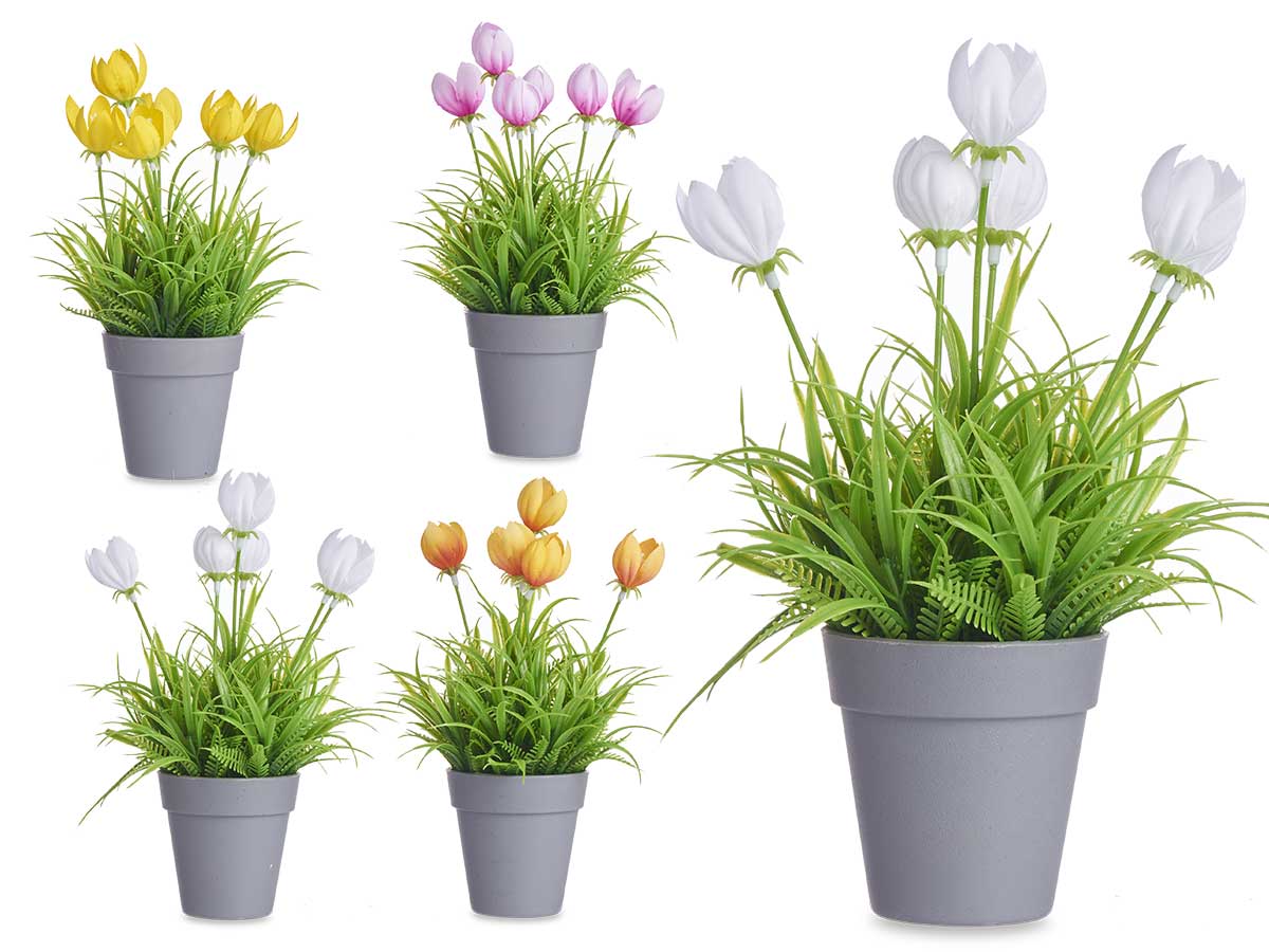 Maceta tulipan surt 4