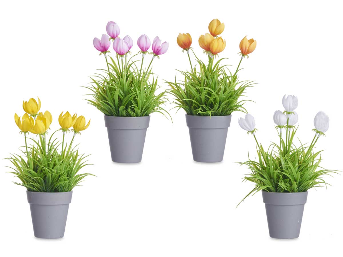 Maceta tulipan surt 4 - Imagen 2