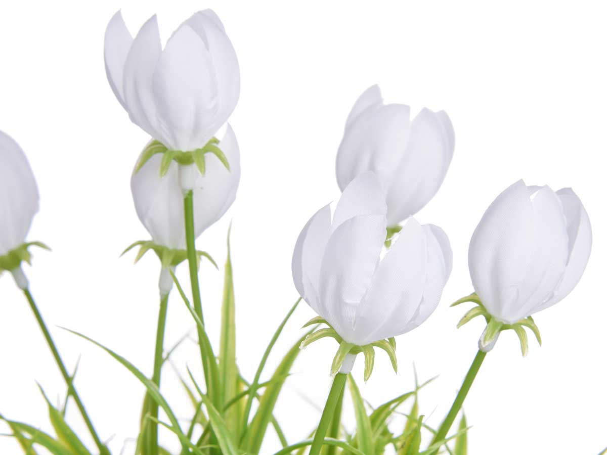 Maceta tulipan surt 4 - Imagen 3